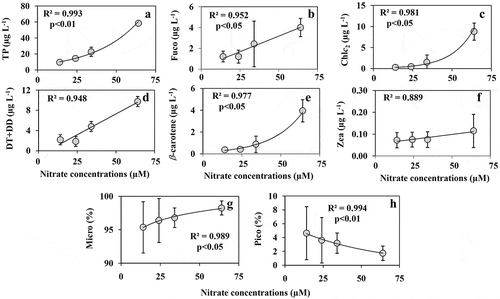 Fig. 9. The concentrations of (a) total pigment (TP), (b) fucoxanthin, (c) Chl c2, (d) diatoxanthin+diadinoxanthin, (e) β-carotene, (f) zeaxanthin detected in the HPLC analysis of the pigment extracts of nitrate enrichment experiment. The relative % of (g) micro-phytoplankton (diatoms) and (h) picophytoplankton (mostly cyanobacteria) calculated based on the diagnostic pigment concentrations detected in HPLC pigment analysis (values = average ± SD; n = 2)