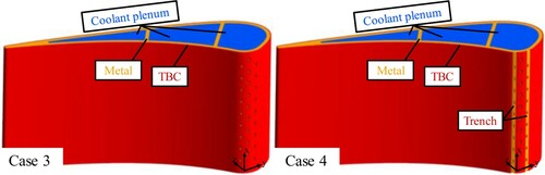 Figure 3. The vane model for the aero-thermal coupled calculation.