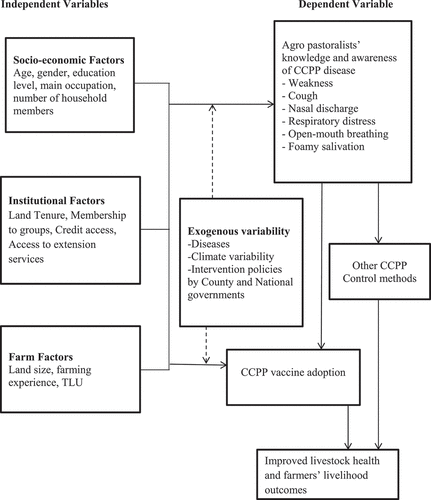 Figure 1. Conceptual framework of factors influencing agro pastoralists’ knowledge and awareness of CCPP disease