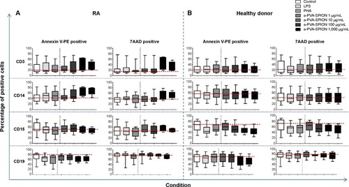 Figure 1 Influence of a-PVA-SPION on the viability of human immune cells.Notes: Whole blood survival analysis was performed with blood samples obtained from patients with rheumatoid arthritis (A) n=19; or healthy donors (B) n=18. Cells were analyzed for specific surface markers, Annexin V (apoptosis marker) and 7AAD (necrosis marker). Data are given as box and whiskers; whiskers represent minimum to maximum; one-way ANOVA.Abbreviations: RA, rheumatoid arthritis; ANOVA, analysis of variance; LPS, lipopolysaccharide; PHA, Phaseolus vulgaris; a-PVA-SPION, amino-polyvinyl alcohol coated superparamagnetic iron oxide nanoparticles; 7AAD, 7-amino-actinomycin D; PE, phycoerythrin.