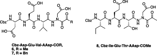 Figure 5. Aza-peptide ketone inhibitors designed for caspase-3 and -6.