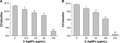 Figure 11 Biofilms were grown for 24 h without any disturbance.Notes: (A) Pseudomonas aeruginosa; (B) Escherichia coli. After 24 h, old culture medium was replaced with different concentrations of C-AgNPs containing fresh medium and incubated for another 24 h. After 24 h of nanoparticles treatment, biofilms were homogenized by sonication and plated on agar plates for CFU counting. Data are presented as mean ± SD error. *P<0.005, **P<0.0005 and ***P<0.0001.Abbreviations: C-AgNPs, core–silver nanoparticles; CFU, colony-forming unit; SD, standard deviation.