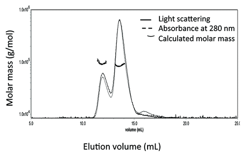 Figure 4. Representative SEC-MALLS profile for pp-PA83. pp-PA83 elutes from SEC with two main peaks at ~12 mL and ~13.6 mL, and a light scattering calculated average molecular weight of 84.9 ± 1.3 kDa.
