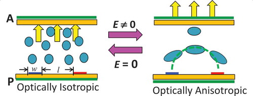 Figure 5. Operation principle of a BPLCD. Left: without electric field, BPLC appears to be optically isotropic; right: with electric field, BPLC becomes optically anisotropic.