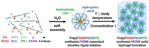 Figure 5. Self-assembly of MPEP and hydrogel formation in water (Han et al., Citation2022).Copyright 2022, Bioactive Materials.