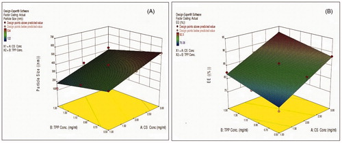 Figure 1. Response surface plots (A) for the CS concentration and TPP concentration on particle size and (B) response surface plots for the CS concentration and TPP concentration on EE %.