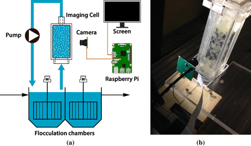 Figure 1. (a) Schematic representation of the installation; (b) a photograph of a part of the installation – Raspberry Pi camera and imaging cell with flocs.