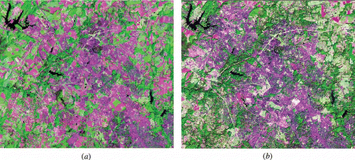 Figure 1. False Colour composition of two dates of Landsat images of the study area: (a) RGB742 of Landsat-TM 1990 and (b) RGB742 of Landsat-TM 2000.