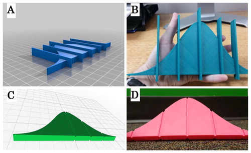 Fig. 2 Iterations of 3D printing designs for the normal curve used in our introductory statistics course. (A) Early three-dimensional model using raised lines to indicate the mean and one and two standard deviations from the mean. (B) Printing of that early model. (C) Improved three-dimensional model using channels cut into the curve, based on feedback from blind student; this version indicates the mean as well as one and two standard deviations on a single side only. (D) Printing of the improved model; this version indicates one and two standard deviations on both sides of the mean.