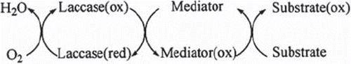 Figure 1. Catalytic cycle of a laccase-mediator oxidation system.