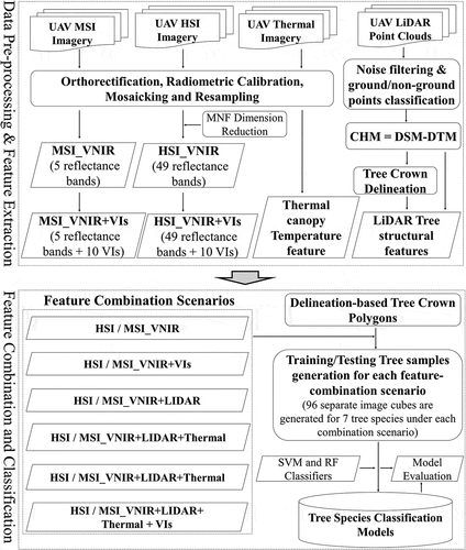 Figure 3. Workflow diagram of UAV data pre-processing, feature extraction & combinations, classification model building and evaluation (MSI represents multispectral imagery/data; HSI represents hyperspectral imagery/data)