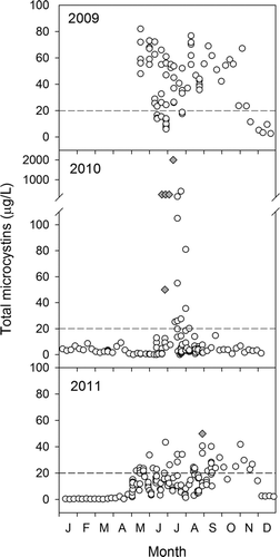 Figure 1 Seasonal variation in total microcystin concentrations in Grand Lake during 2009–2011. Water column and surface samples were collected from nearshore sites (State Park public beaches, the City of Celina Public Works [CPW] water treatment plant intake pipe, and the Ohio Department of Natural Resources [ODNR] office boat ramp) and offshore sites (e.g., near Safety Island). Samples were collected by ODNR, Ohio EPA (OEPA), USGS, and CPW and analyzed by CPW and GreenWater Laboratories (Palatka, FL) using enzyme-linked immunosorbent assays after sonication. Gray-filled diamonds show saturated tests, such that field microcystin concentrations were actually greater than those displayed here. The horizontal dashed lines represent the value for a moderate health alert in recreational waters (20 μg/L; WHO Citation2003).