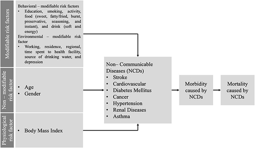 Figure 1 Framework of modifiable, non-modifiable, and physiological risk factors.