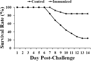 Figure 6. Survival rates in chickens of the immunized and control groups challenged with the wild-type Salmonella Gallinarum JOL422. All chickens in each group were orally challenged with 100 µl bacterial suspension containing 1 × 106 CFU JOL422 at 4 weeks post immunization. Chickens showed mortality from day 7 post challenge.