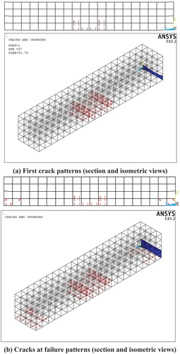 Figure 12. Finite element model cracks pattern.