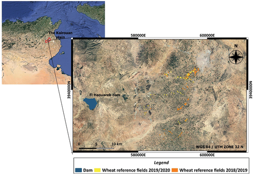 Figure 1. The reference wheat field delineation in the study zone area on the Kairouan Plain in the center of Tunisia during two vegetation cycles (64 fields during 2018/2019 and 66 fields during 2019/2020).