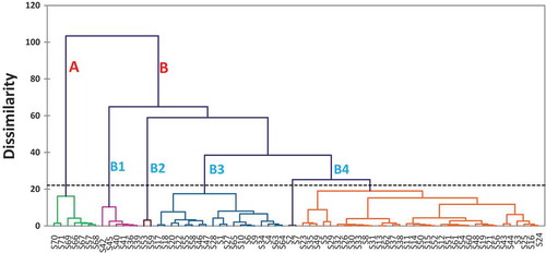 Figure 5. Dendrogram of cluster analysis (Ward’s method).