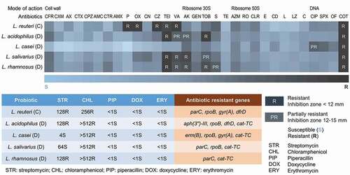 Figure 4. Antibiograms of single strains isolated from probiotic lozenges.