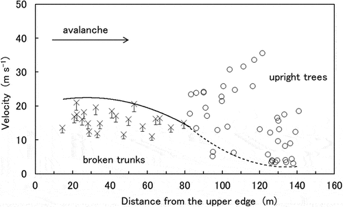 Figure 11. Avalanche velocities estimated from the bending stress of broken trunks (×). The range of 10 percent decrease is expressed by each error bar. The velocities required to break the upright trees at the ground level are also shown (○).