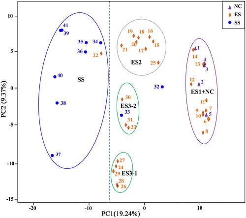 Figure 3. Principal coordinate analysis (PCoA) of the 41 walnut genotypes with 6357 SNPs.Note: The PCoA results from the first two statistically significant components are shown (p < 0.05). The proportion of the variance explained by each PC is shown in parentheses along each axis. The groups include NC (1–5), ES (6–31) and SS (32-41).