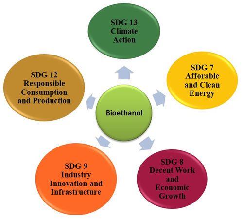 Figure 2. Sustainable development goals and their attribution by bioethanol industry.