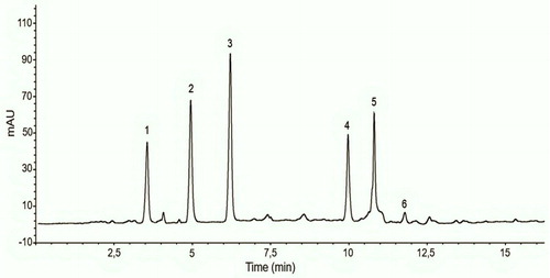 Figure 2. Chromatogram of organic acid found in eucalyptus honey. Peak numbers: oxalic acid (1); malic acid (2); lactic acid (3); citric acid (4); succinic acid (5); fumaric acid (6).