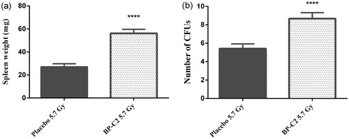 Figure 2. Effect of BP-C2 on weight of spleen and number of CFUs in CBA mice on day 10 after TBI. BP-C2 (81 mg/kg) was given by gavage 5 times every second day prior to, and 5 times every second day after, 5.7 Gy irradiation. (a) Weight of spleen. (b) CFUs. Data are presented as M ± SD. ****p < .0001. n = 12 animals per group.