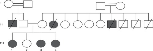 Figure 1 Family pedigree.