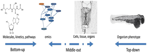 Figure 2 Three approaches used in systems biology.