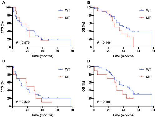 Figure 1 Kaplan–Meier analysis of event-free survival (EFS) and overall survival (OS) in the pediatric relapsed/refractory solid tumors with genotype of the UGT1A1*6/*28 polymorphisms (n = 44); No significant difference was found in EFS/OS among the different genotypes; WT, wild genotype; MT, mutant genotype. (A) The three-year EFS rate for UGT1A1*6 WT and MT was 25.8% and 16.7%, Respectively. (B) Patients carrying UGT1A1*6 MT had a non-significantly higher three-year OS rate than those with WT (54.8% vs 41.7%). (C) The three-year EFS rate for UGT1A1*28 WT and MT was 27.3% and 20.0%, respectively. (D) Patients carrying UGT1A1*28 MT had a non-significantly higher three-year OS rate than those with WT (54.5% vs 40.0%).