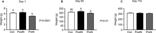 Figure 1 Weight of rats at days 1 (A), 60 (B), and 110 (C) of life.Notes: Con (n=8); PostN androgenized (n=7); PreN androgenized (n=8). (A) ANOVA P<0.0001; (B) ANOVA =0.01. Distinct letters indicate a statistical significant difference (adjusted P level <0.05) obtained with multi-comparison Tukey’s test.Abbreviations: ANOVA, analysis of variance; Con, controls; PostN, postnatal; PreN, prenatal.