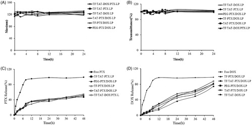 Figure 2. The variations in particle sizes (A) and turbidity (represented by transmittance) (B) of liposomes in 50% FBS. The PTX (C) and DOX (D) release profiles of liposomes in PBS over 48 h at 37 °C. The results are represented as means ± SD (n = 3).