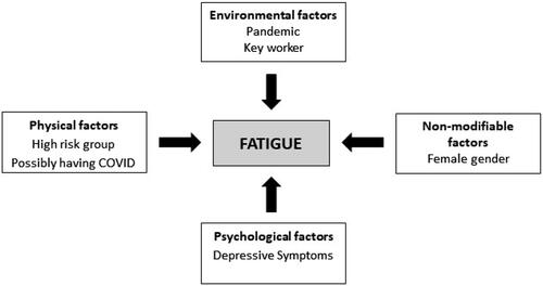 Figure 3. The different physical, environmental, demographic and psychological factors that predicted fatigue.