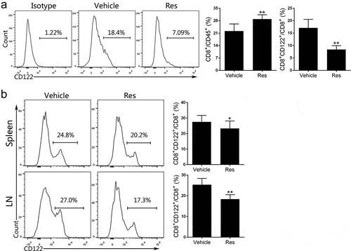 Figure 2. Resveratrol treatment reduces the frequency of CD8+ CD122+ Tregs in Hepa1-6 tumor-bearing mice. (a) Single-cell suspensions isolated from tumor tissue 21 days after the treatment with resveratrol were prepared, stained with anti-CD45, CD8, and CD122 antibodies and analyzed via FACS. (b) Spleen and draining lymph node (LN) cells were isolated from the tumor-bearing mice. The frequencies of CD8+CD122+ Tregs were also analyzed through FACS. Data are presented as mean ± SD (Res, resveratrol; n = 9 mice/group pooled from three separate experiments; two-tailed t-test: *p < 0.05 and **p < 0.01 compared to Vehicle). One representative of three separate experiments is shown