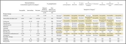 Figure 3. Drug resistance profile of GZ2020T. a: The data were obtained from reference 8 (Clinical and Laboratory Standards Institute (CLSI), M24-A2, ISBN 1-56238-746-4). b: Breakpoints defined by the CLSI for Nocardia spp. were applied. c: The results for tobramycin, clarithromycin and moxifloxacin were interpreted according to disc diffusion tests with the CLSI breakpoints for Staphylococcus spp. as a reference, which showed that GZ2020T was resistant to tobramycin and clarithromycin and possibly susceptible to moxifloxacin. d: Although the result should be interpreted as “intermediate” according to the minimal inhibitory concentration (MIC) method, the poor clinical efficiency in the course of treatment and the markedly unsatisfactory outcomes from the disc diffusion tests instilled uncertainty. K-B method: Kirby-Bauer method; ND: no data.