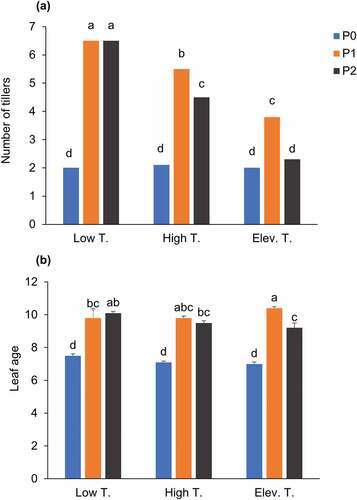 Figure 3. Number of tillers (a) and leaf age (b) at around cumulative growing degree days of 672°C after transplanting as affected by different temperatures (Low T, High T, Elev. T) and P2O5 concentrations in the slurry (0%, 2.3%, and 4.4% for P0, P1, and P2, respectively). Data are shown as mean values of 0 h and 2 h dipping durations. Different letters indicate that mean values were significantly different among the treatments at 5% according to Tukey’s HSD test. Day/night temperature; 28°/20°C in Low T, 33°/25°C in High T, 36°/27°C in Elev. T.