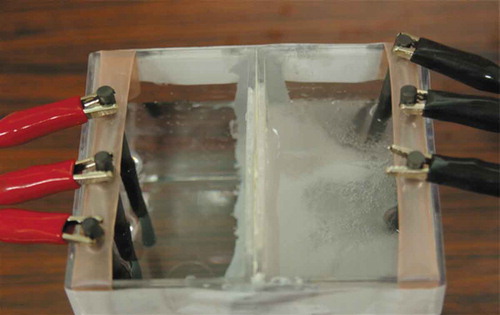 Figure 4. White precipitation in the cathode cell during electrolysis.