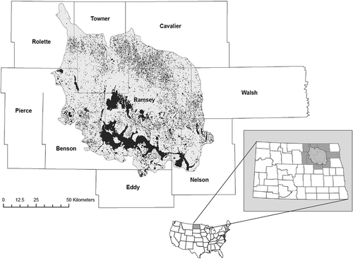Figure 1. Location of Devils Lake Basin, North Dakota (USA). Lake extent shown is approx. 1999. Large, lake open water surfaces are shown in black; small, wetland open water surfaces are shown in grey. Source: Sethre et al. (Citation2005).