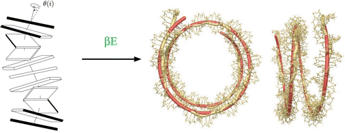 Figure 24. Our physical modelling consists of computing the energy cost to bend a DNA fragment of length l w into almost two turns of the DNA double helix which are involved in the crystallized nucleosome particle (radius R=4.19 nm, pitch P=2.59 nm ). Adapted with permission from Richmond and Davey Citation(2003). Copyright 2003 by Nature Publishing Group.