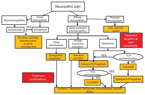 Figure 4 Treatment algorithm: neuropathic pain after exclusion of non-diabetic etiologies and stabilization of glycemic control.
