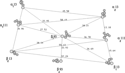 Figure 2 The distances between the sites are shown to show the adequate coverage of the protein surface. The shortest distance is 13 Å and widest distance is 56.8 Å.