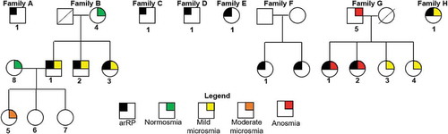 Figure 1. Pedigrees with diagnosis for 8 families with autosomal recessive retinitis pigmentosa (arRP). Numbered patients had genetic testing. Symbols with black were patients diagnosed with arRP. The results for patients who performed the smell identification test are in color