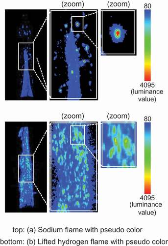 Figure 6. Enlarged view of the luminance distribution with pseudo color.