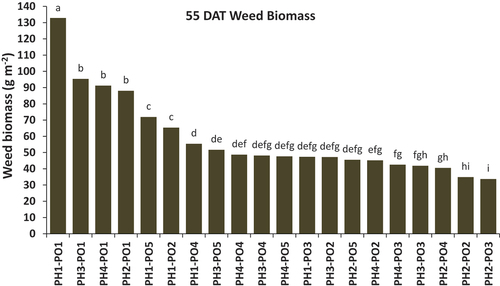 Figure 5. Effects of pre- and post-emergence herbicides on weed biomass in mechanized unpuddled transplanted rice for broadleaf weeds at 55 days after transplanting (DAT). Treatments with the same letter are not significantly different (p = 0.05) from each other. PH1 = no pre-emergence, PH2 = pendimethalin, PH3 = oxadiargyl, PH4 = pretilachlor; PO1 = no post-emergence, PO2 = bispyribac, PO3 = bispyribac+pyrazosulfuron, PO4 = fenoxaprop+ethoxysulfuron, PO5 = fenoxaprop fb halosulfuron.