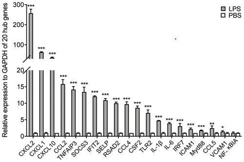 Figure 4 Relative mRNA expression of 20 hub genes. In LPS induced ALI mice, 19 of the hub genes were up-regulated, compared to PBS group. Data are presented as means ± SD. ***P < 0.001; **P < 0.01; *P < 0.05.