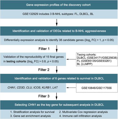 Figure 1 Study workflow. DEGs, differentially expressed genes; FC, fold change.