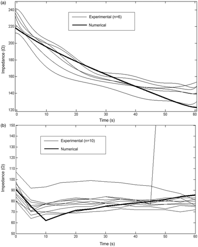 Figure 5. Impedance progresses during RF heating in the ex vivo (a) and in vivo (b) studies. The solid lines show the results of computer simulations of the corresponding conditions. Both cases (ex vivo and in vivo) consider a flow rate of 100 mL/min and a coolant temperature of 5°C. Note that an in vivo experimental case showed an impedance rise (roll-off) at 45 s.