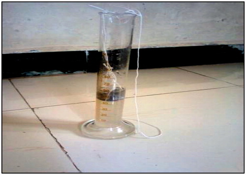 Figure 1. Gel strength determination by graduated measuring cylinder.