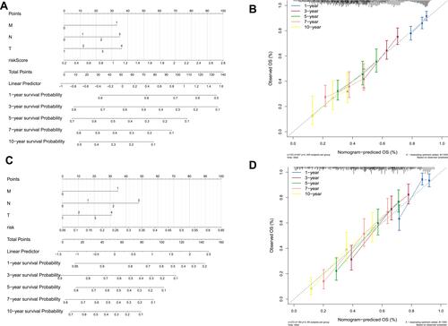 Figure 8 Validation of the nomogram in predicting overall survival of lung cancer in The Cancer Genome Atlas (TCGA) training set and the GSE30219 validation set. (A and C) A nomogram to predict survival probability at the 1-, 3-, 5-, 7-, and 10-year timepoints for patients with lung cancer on the basis of results derived from TCGA training and GSE30219 validation sets. (B and D) Calibration curve for the nomogram when predicting the 1-, 3-, 5-, 7-, and 10-year overall survival in TCGA training and GSE30219 validation sets.
