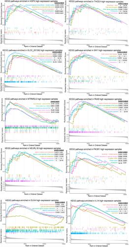 Figure 8 Gene set expression analysis (GSEA) of optimal genes and Kyoto Encyclopedia of Genes and Genomes (KEGG) pathways enriched in the 10 differentially expressed genes.